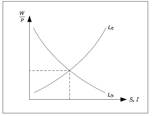 Determination of W, P, Y and L