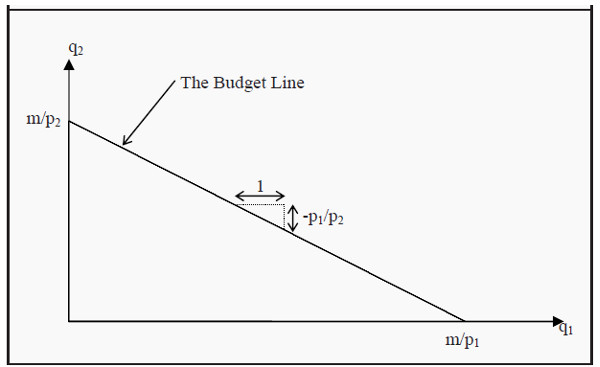 Consumer Theory and Budget Line