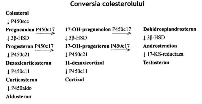 Biosinteza hormonilor corticosuprarenali