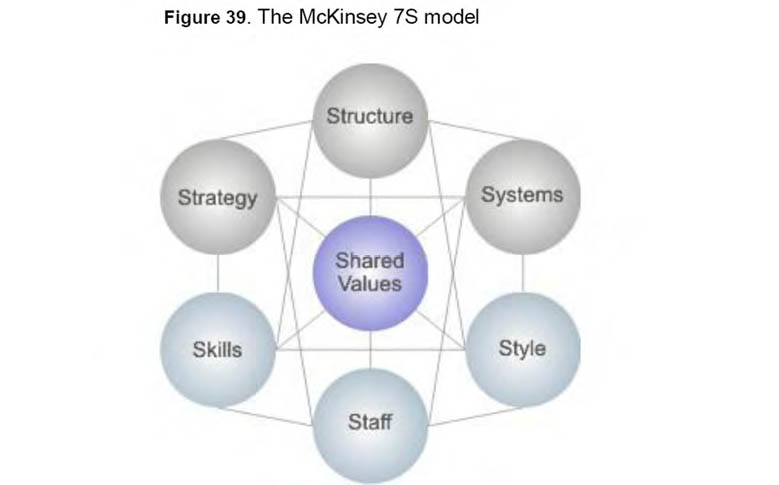 The McKinesy 7S Model